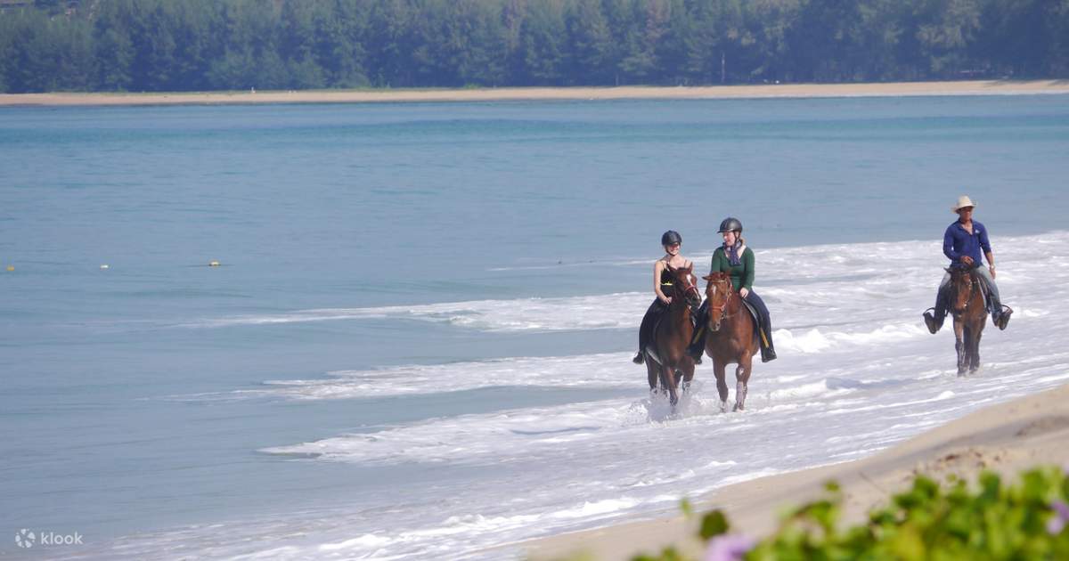 Horseback Riding Experience in Phuket, Thailand Klook Singapore